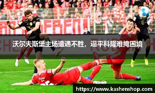 emc易倍体育