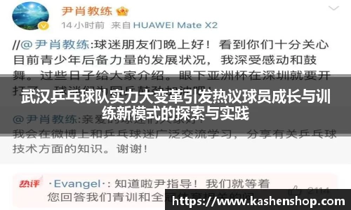 武汉乒乓球队实力大变革引发热议球员成长与训练新模式的探索与实践