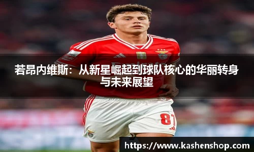 emc易倍体育官方